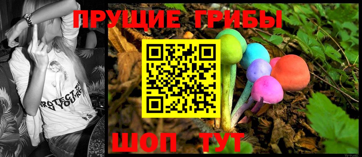 Рубцовск  Галлюциногенные грибы Psilocybe  где купить наркоту  Вход с VPN 